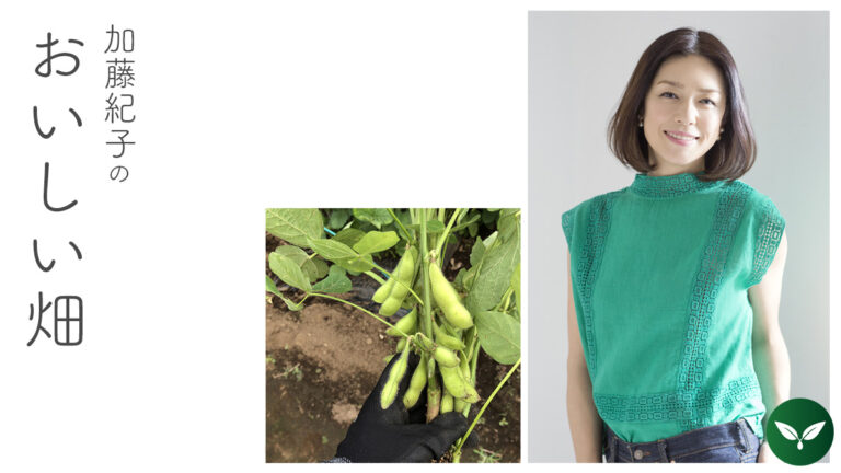 パチン、パチンは夏の音。思わず喉が鳴る枝豆の話。 #加藤紀子のおいしい畑
