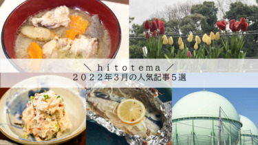 【hitotema】2022年3月の人気記事ランキング