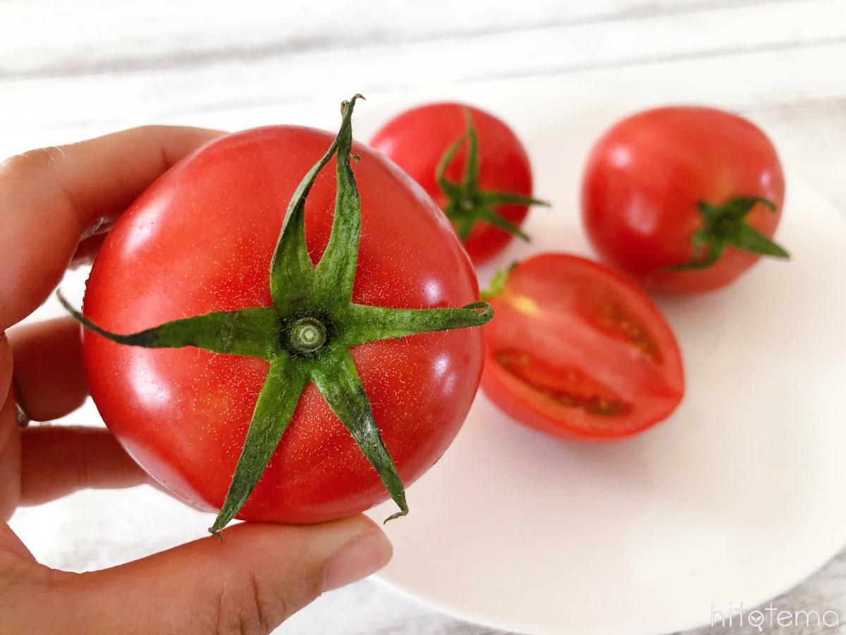 新鮮で美味しいトマトの見分け方